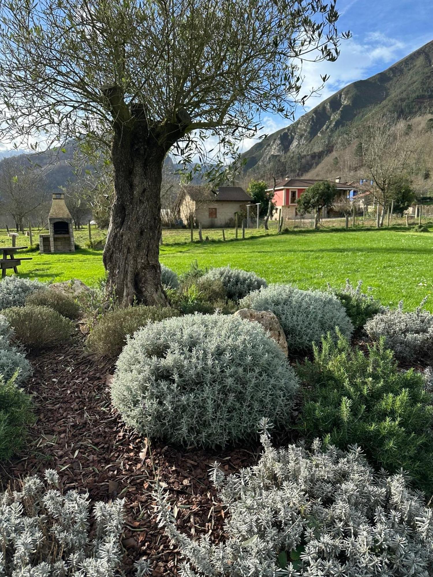 Casa Rural Nasares San Juan de Parres エクステリア 写真
